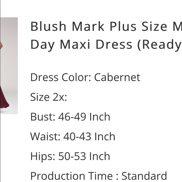 NWT Cabernet/Burgundy Bridesmaid Dress and 2x - Picture 7 of 8